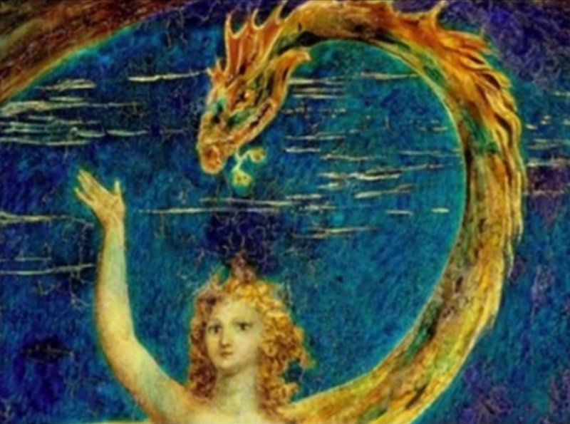 imagerie-du-serpent-avec-son-venin.jpg