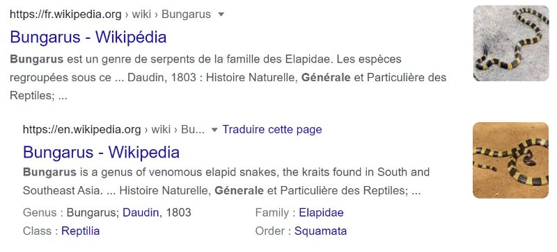 le-serpent-bungarus.jpg