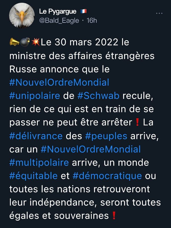le-monde-multipolaire-annonce-par-la-russie.jpg