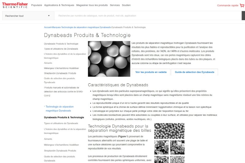 les-dynabeads-de-thermofisher.jpg