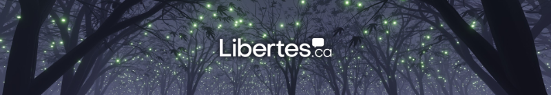 decor-libertes.png