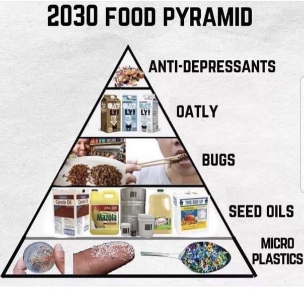 la-pyramide-alimentaire-de-2030-du-nouvel-ordre-mondial.jpg