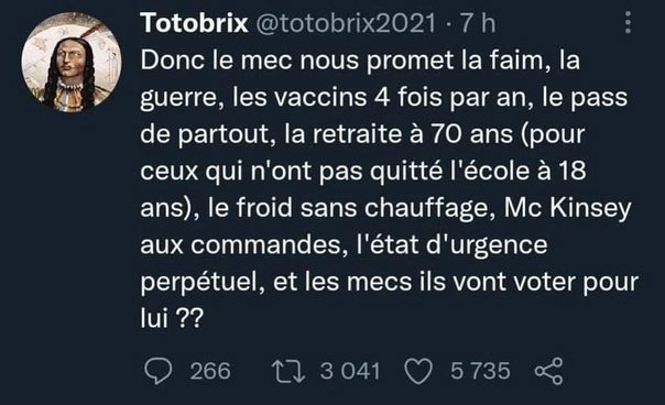les-francais-quicontinuent-de-voter-pour-emmanuel-macron-qui-detruit-la-france-et-les-francais.jpg