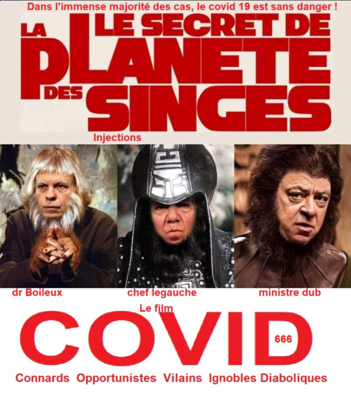 le-film-covid-au-quebec.png