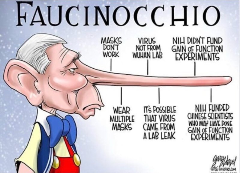 faucinocchio.jpg