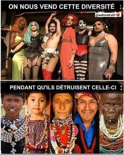 la-diversite-n-est-qu-un-piege.jpg