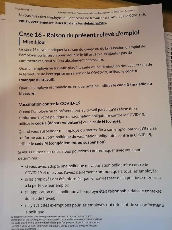 la-mise-a-jour-a-la-case-16-du-25-mars-2022.jpg