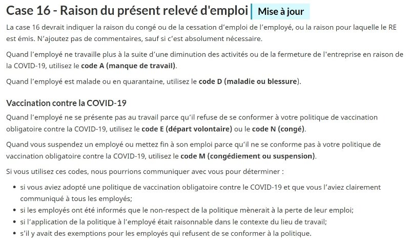 la-mise-a-jour-de-la-case-16.jpg