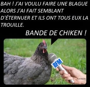 la-bande-de-poules-mouillees.jpg