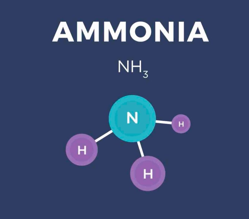 l-ammoniac-pour-les-vehicules.jpg