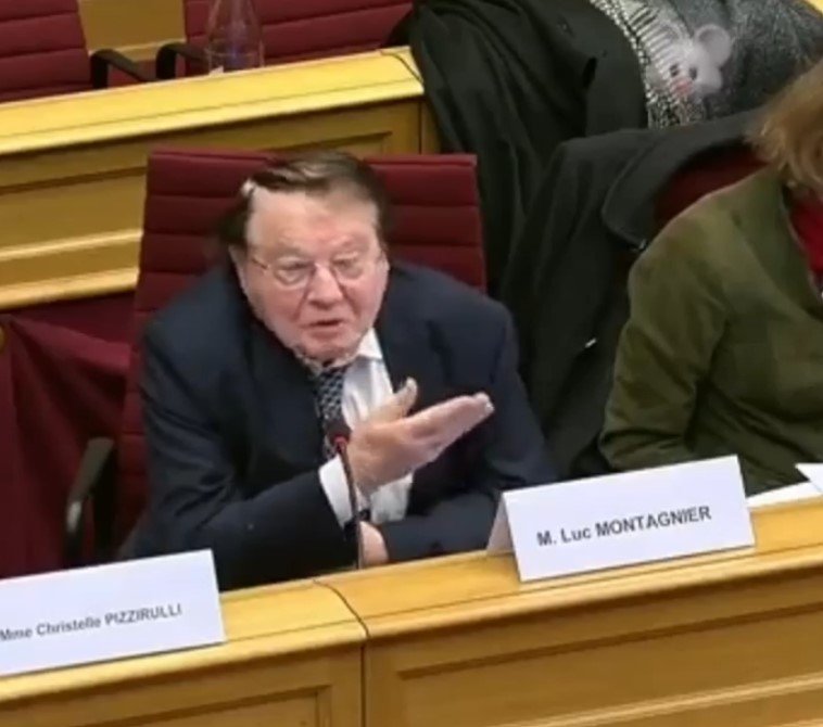 le-professeur-luc-montagnier-au-parlement-du-luxembourg-le-12-janvier-2022.jpg