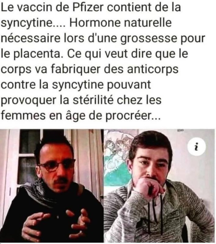 le-vaccin-de-pfizer-contient-de-la-syncytine.jpeg