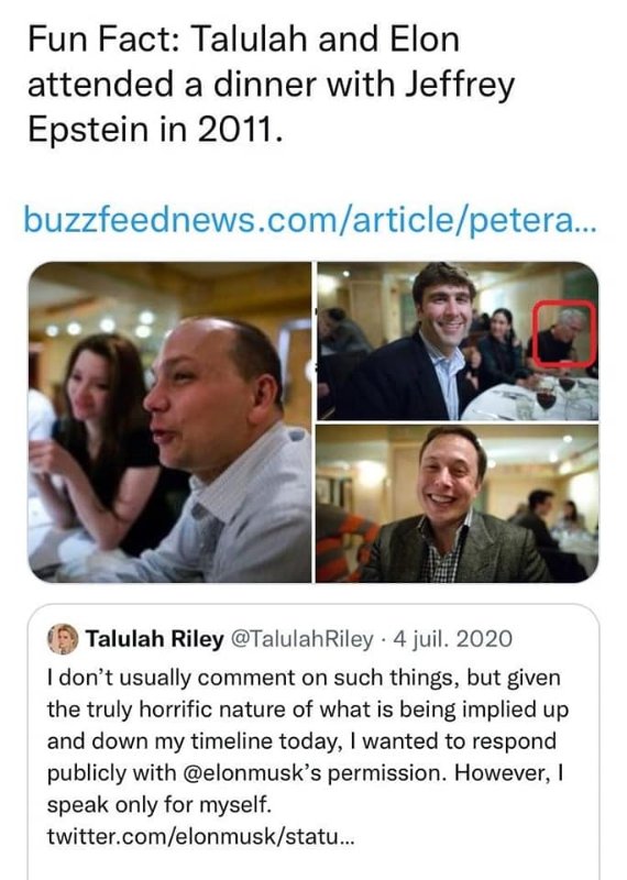 talulah-riley-elon-musk-et-jeffrey-epstein.jpg
