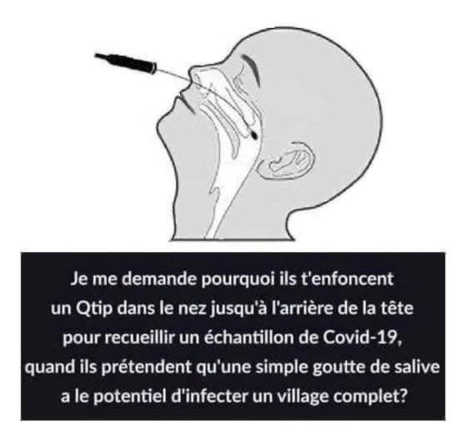 la-stupidite-de-l-ecouvillonnage.jpg