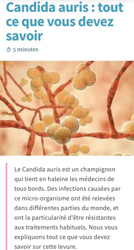 la-levure-de-candida-auris.jpeg