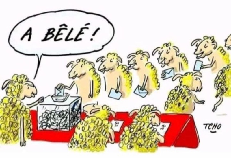 les-moutons-qui-vont-voter-macron.jpeg
