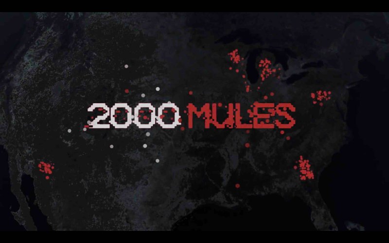 le-film-2000-mules.jpg