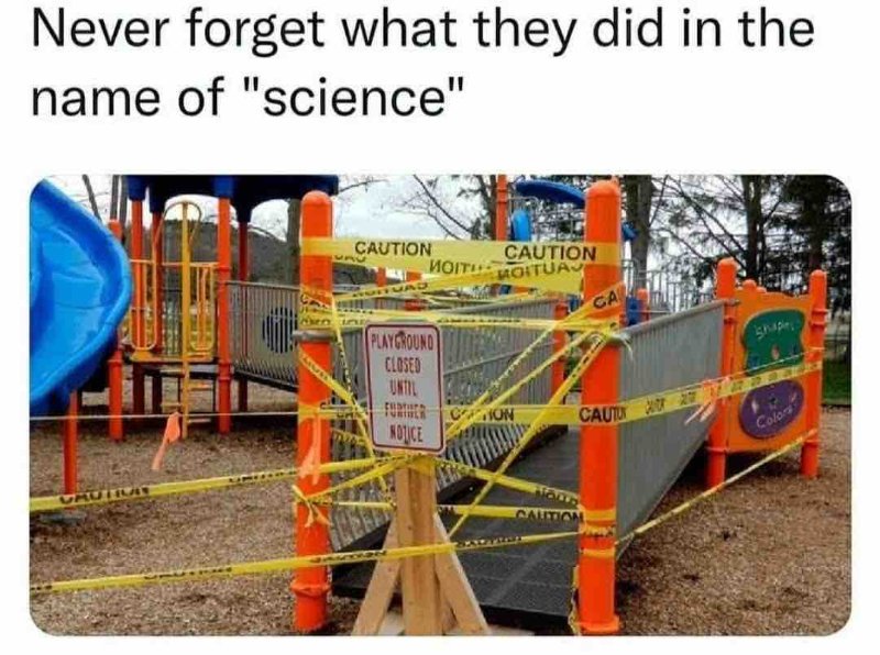 la-science-dovid-a-l-oeuvre.jpg