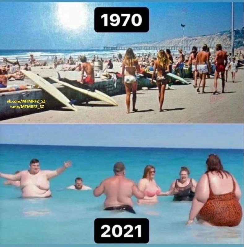 comparaison-entre-1970-et-2021-appauvrissement-des-terres-qui-engendre-l-obesite.jpeg