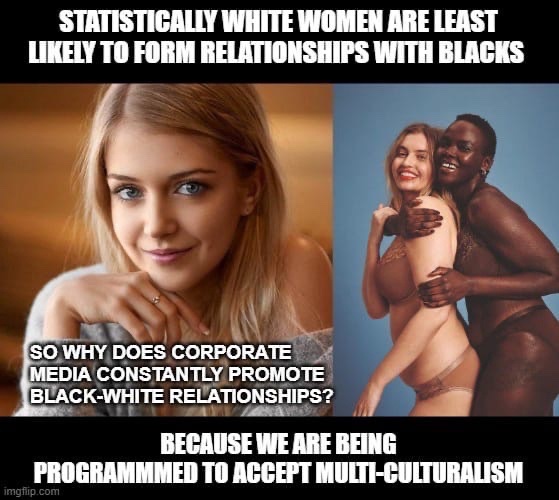 les-blancs-se-font-programmer-pour-accepter-le-multiculturalisme.jpeg