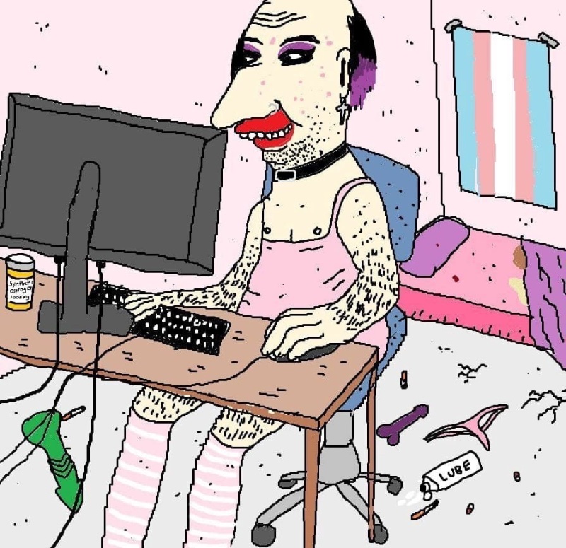 un-partisan-woke-du-parti-democrate-americain.jpeg