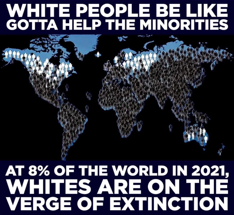 les-blancs-sont-a-la-veille-de-l-extinction.jpeg