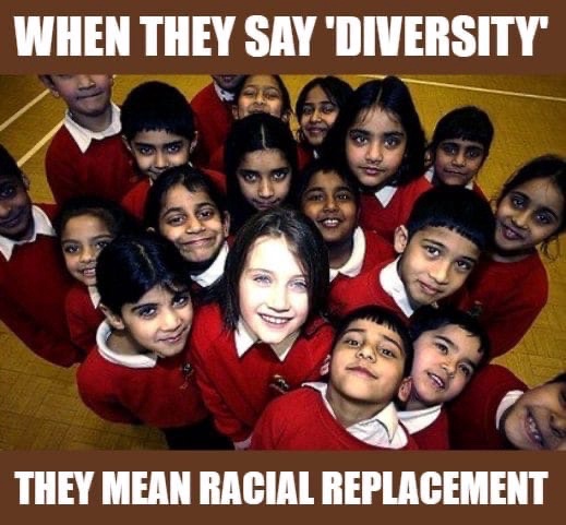 lorsqu-ils-disent-diversite-ils-disent-remplacement-populationnel.jpeg