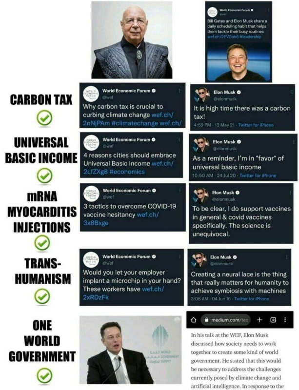 klaus-schwab-et-elon-musk.jpg