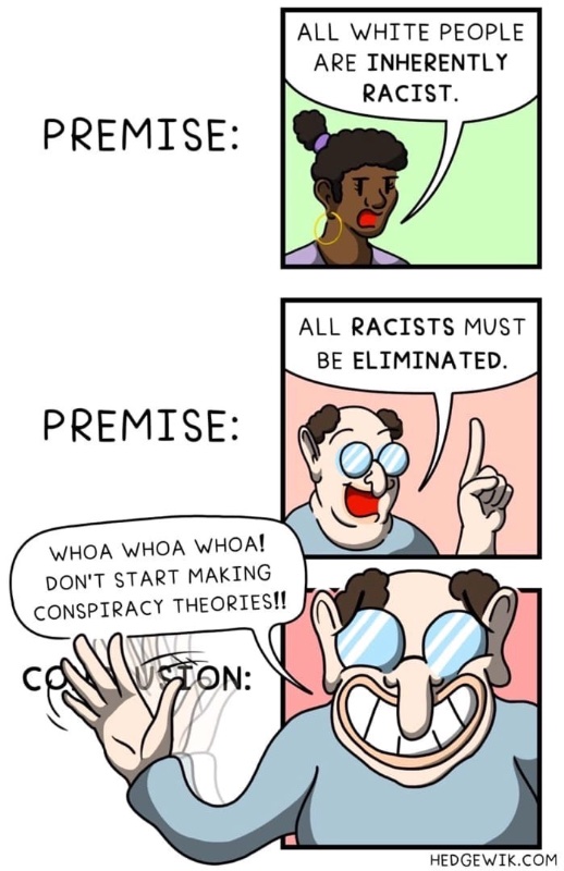 les-premices-contre-les-blancs-pour-les-eliminer.jpeg