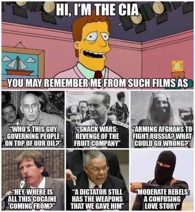 bonjour-je-suis-la-cia-et-vous-vous-rappelez-surement-de-moi-dans-ces-films.jpeg