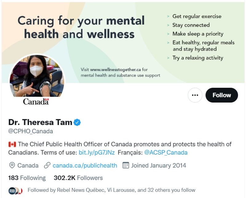 le-compte-twitter-de-theresa-tam.jpg
