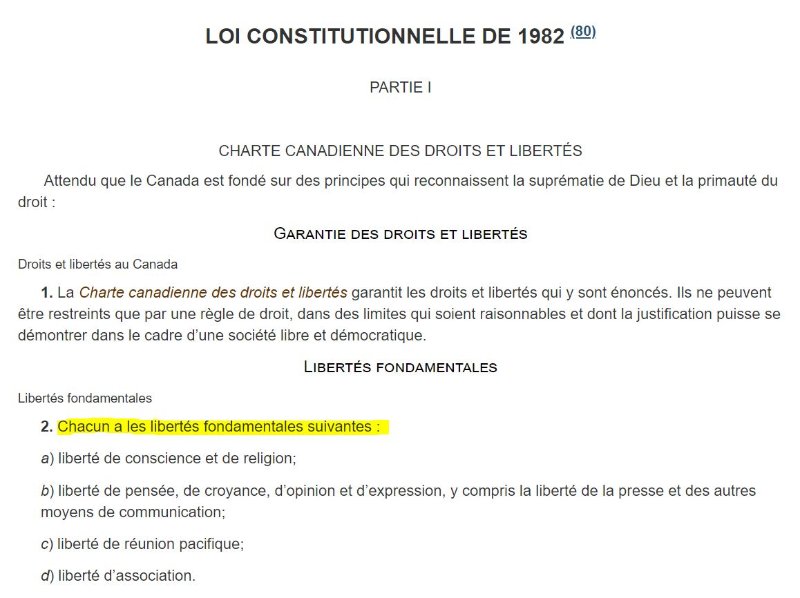 loi-constitutionnelle-de-1982.JPG
