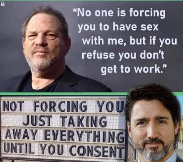 justin-trudeau-force-les-canadien.jpg