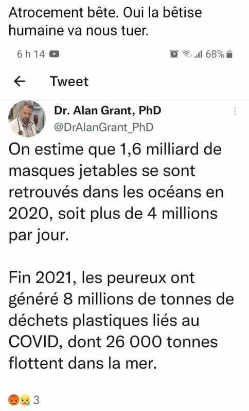 les-masques-covid-dans-les-oceans.jpg