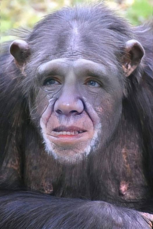 francois-legault-declenchera-t-il-une-autre-panique.png