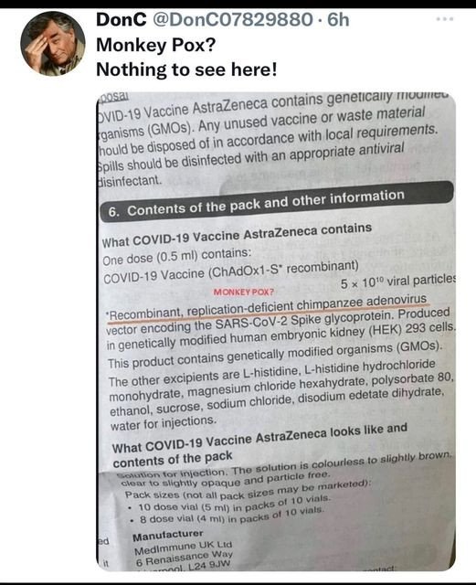 le-virus-simien-a-t-il-un-lien-avec-les-ingredients-du-vaccin-chadox1-s-d-az.jpg