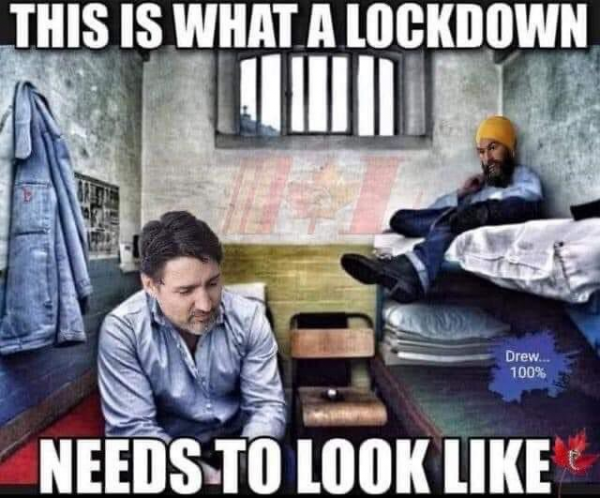 voici-a-quoi-devrait-ressembler-un-confinement.png
