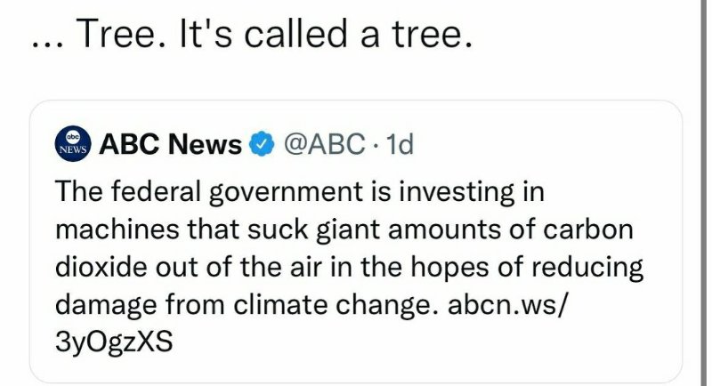 ca-s-appelle-un-arbre.jpg