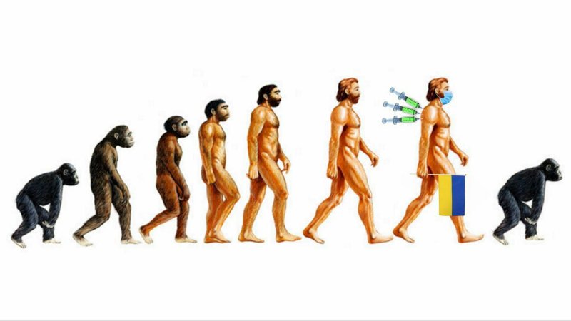 la-devolution-des-consentistes.jpg