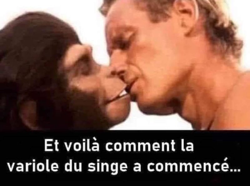 comment-la-variole-du-singe a commence-humour.jpg