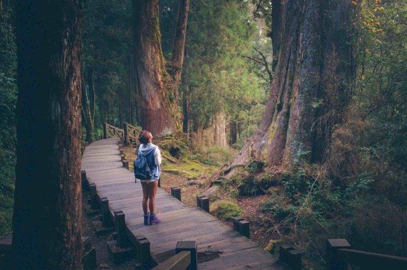 jeune-femme-suivant-un-sentier-en-foret.jpg