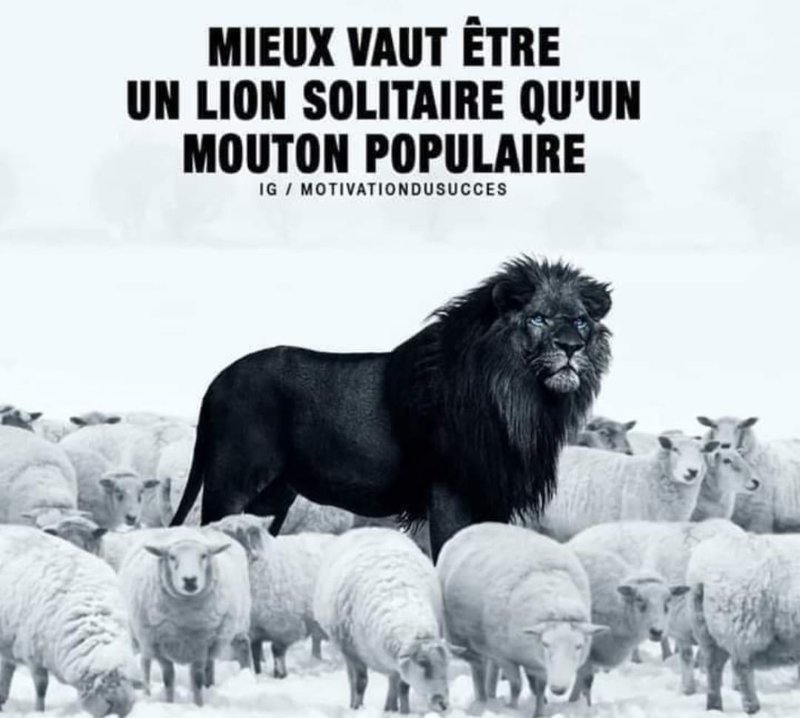 j-aime-mieux-etre-un-mouton.jpg