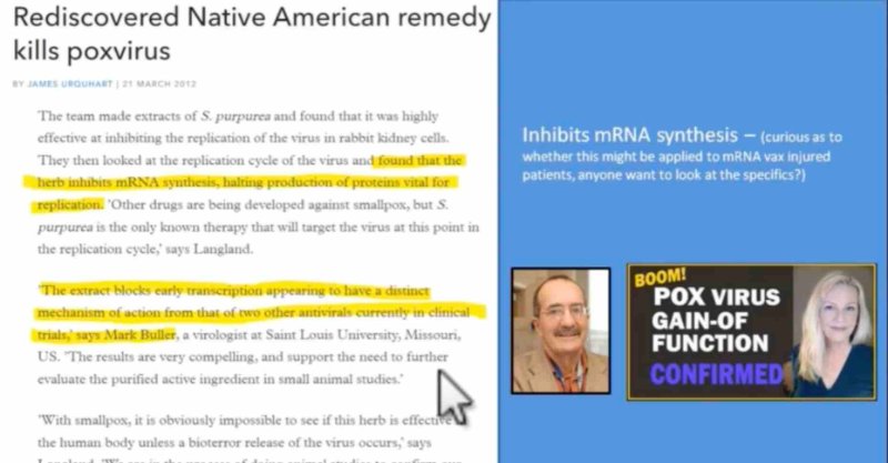 remede-amerindien-contre-la-variole.jpg