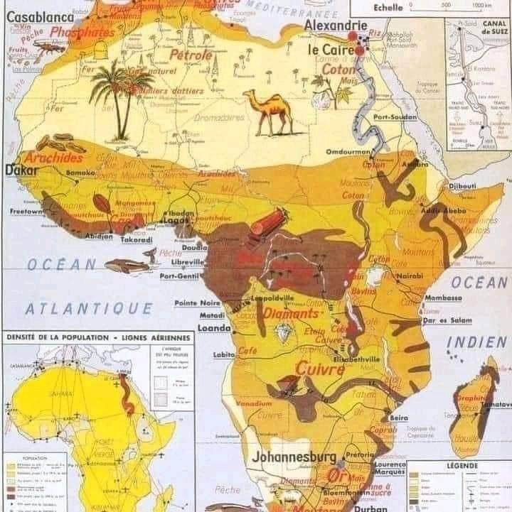carte-de-l-afrique-avec-ses-ressources.jpeg