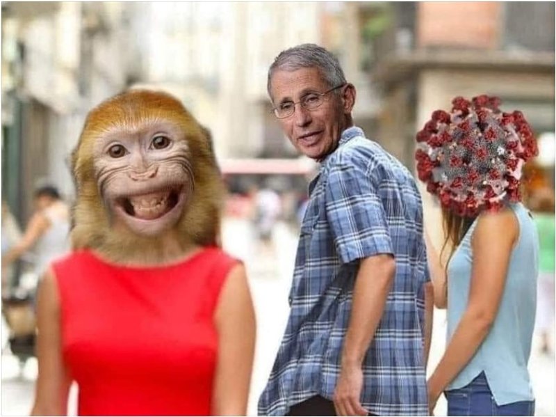 le-dr-anthony-fauci-et-la-variole-simienne.jpeg