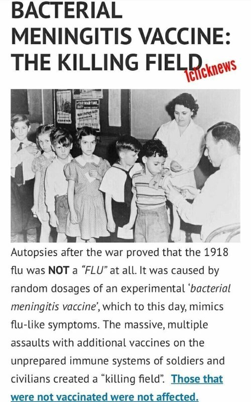 les-meurtres-vaccinaux-de-1918.jpeg