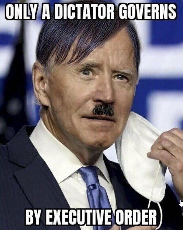 seul-un-dictateur-gouverne-par-decrets.jpeg