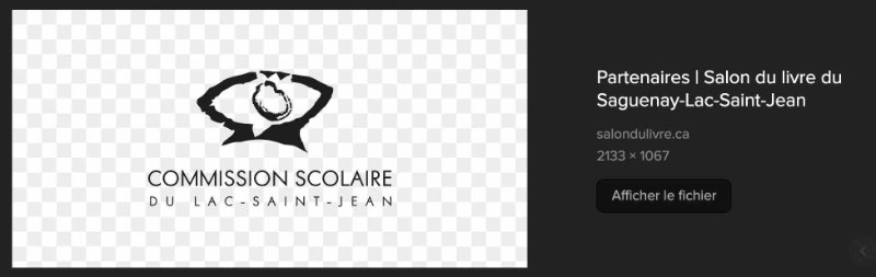partenaires-du-salon-du-livre-du-saguenay-lac-st-jean.jpg