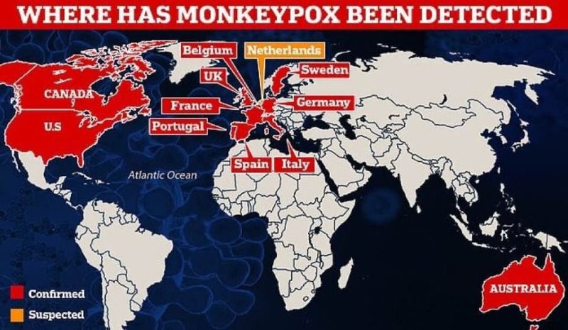 ou-le-virus-simien-a-ete-detecte.jpg