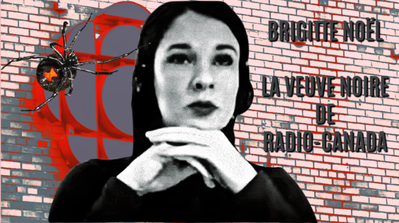 brigitte-noel-veuve-noire-araignee.png